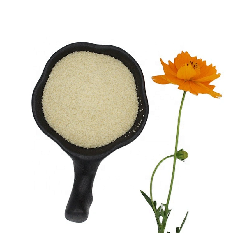 Bulk Food Grade Ingredients Halal Brand Beef Gelatin Manufacturers